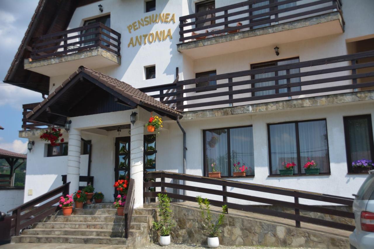 Pensiunea Antonia Bran  Bagian luar foto