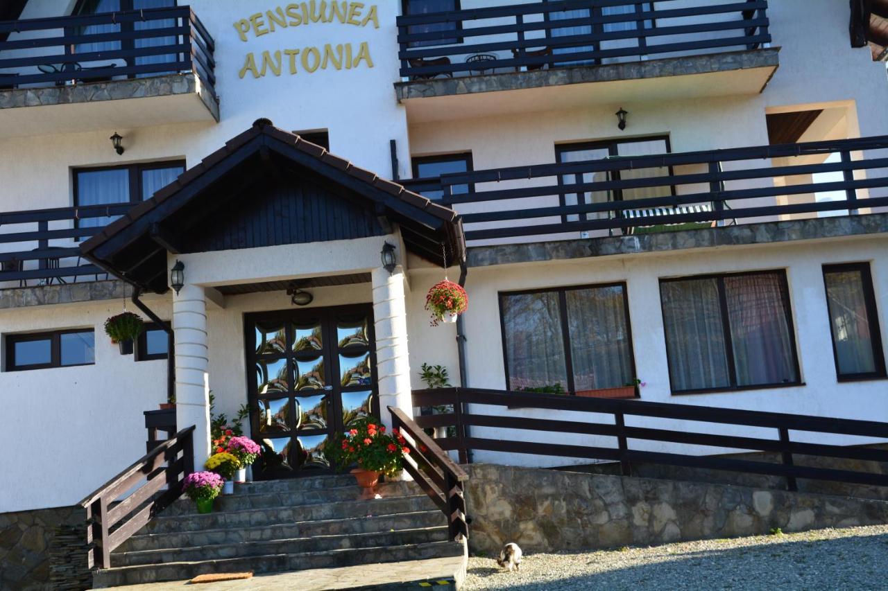Pensiunea Antonia Bran  Bagian luar foto