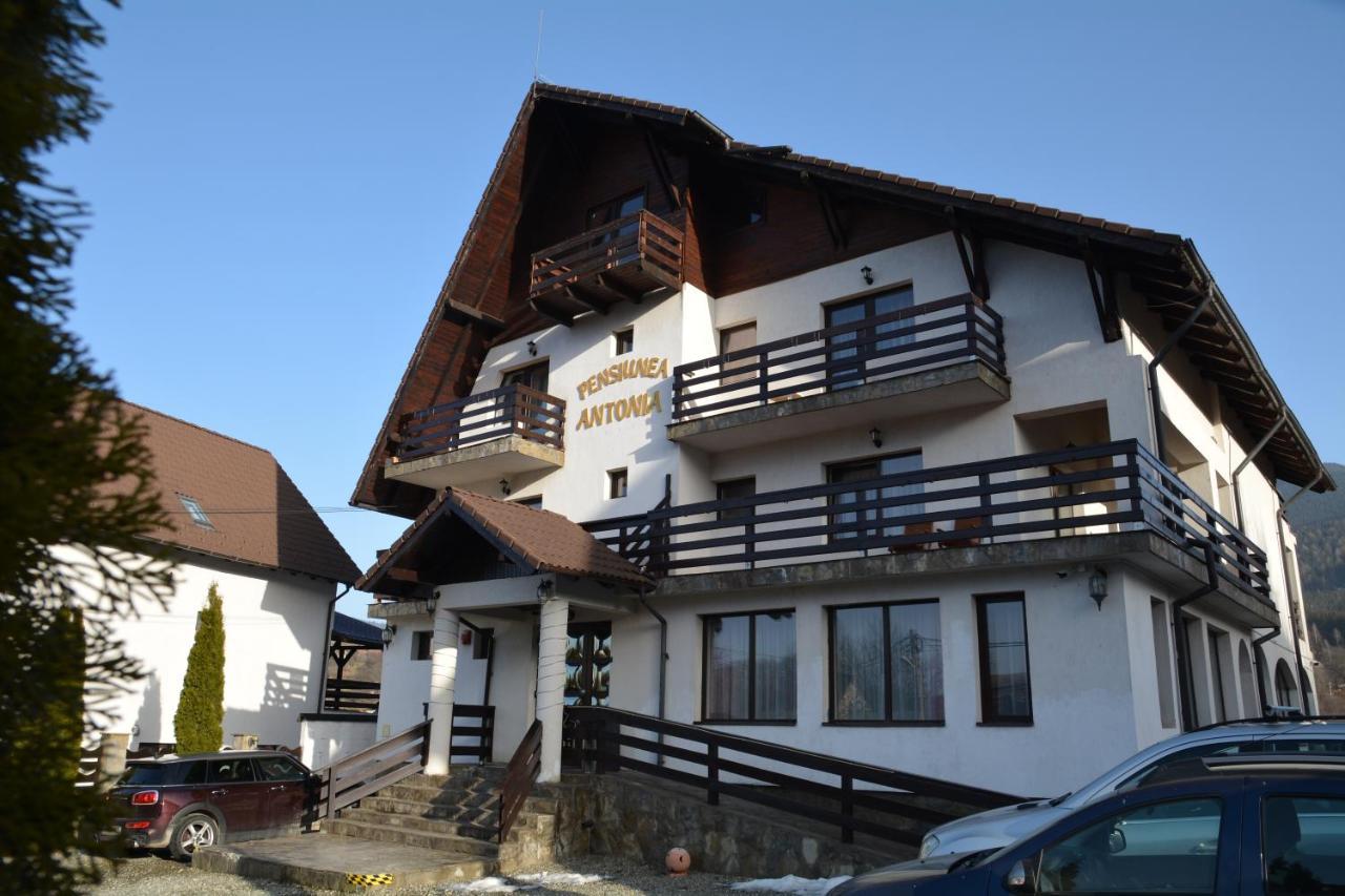 Pensiunea Antonia Bran  Bagian luar foto