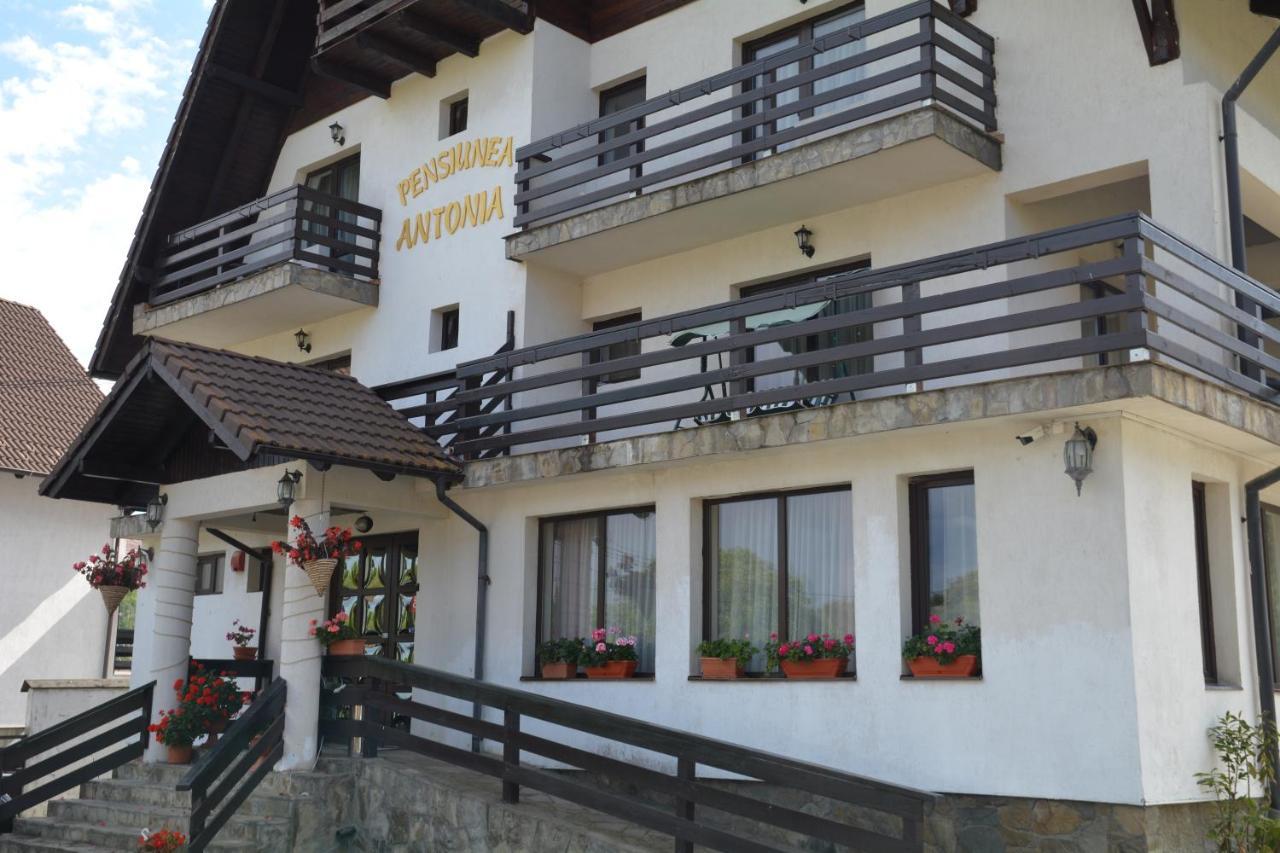 Pensiunea Antonia Bran  Bagian luar foto